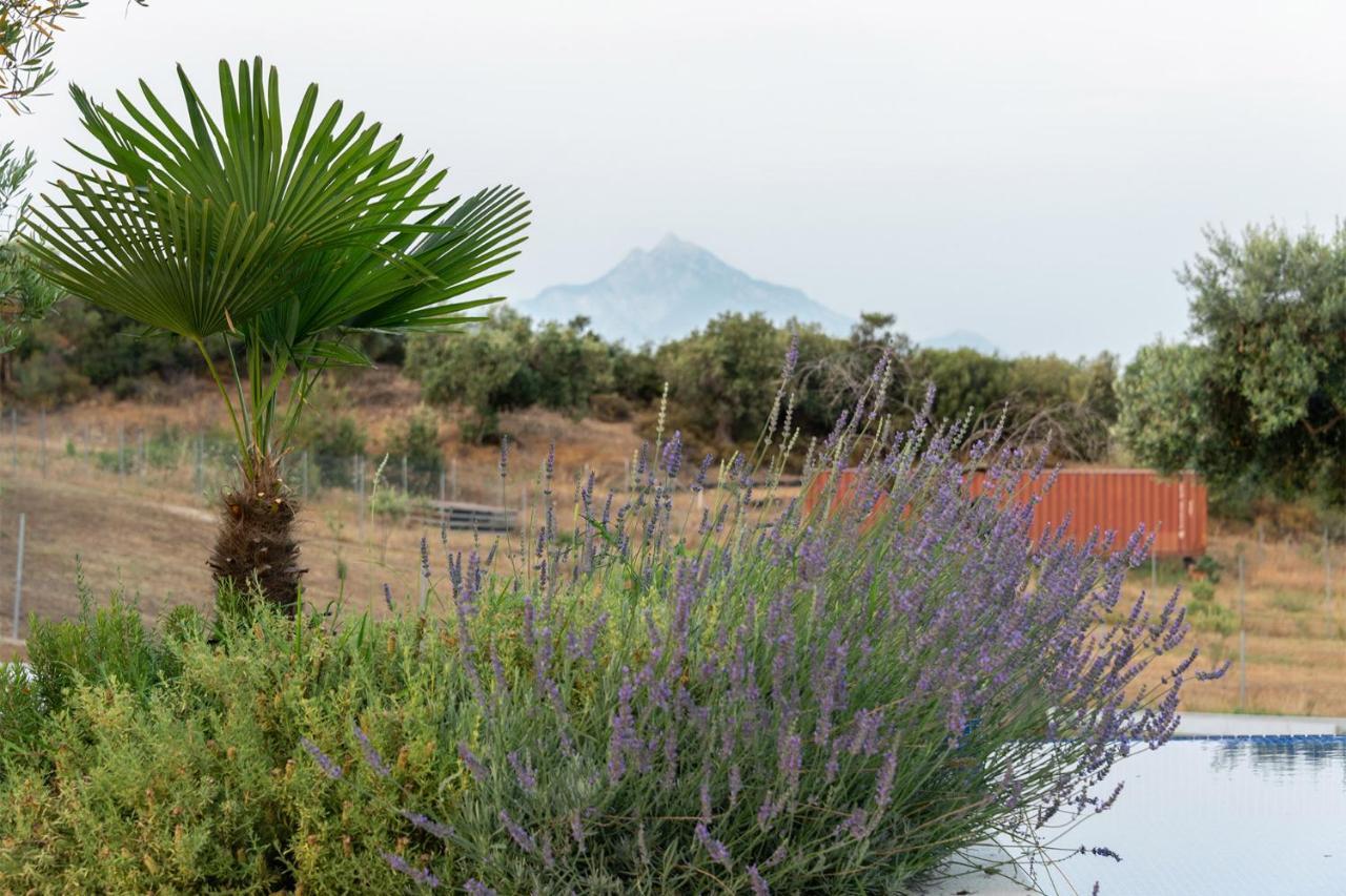 Afisia Villas Sarti Esterno foto